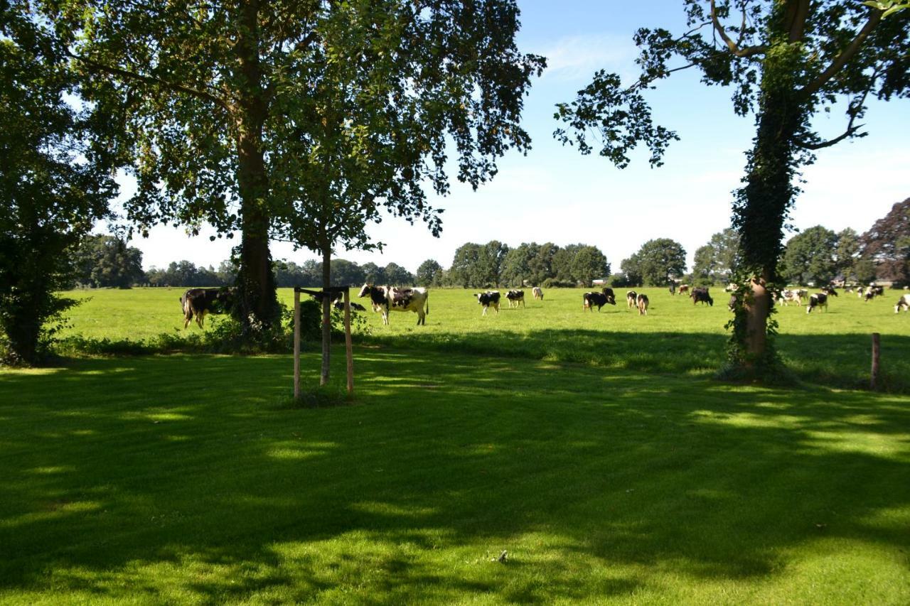 Op De Kuyerlatten Zwolle  Kültér fotó